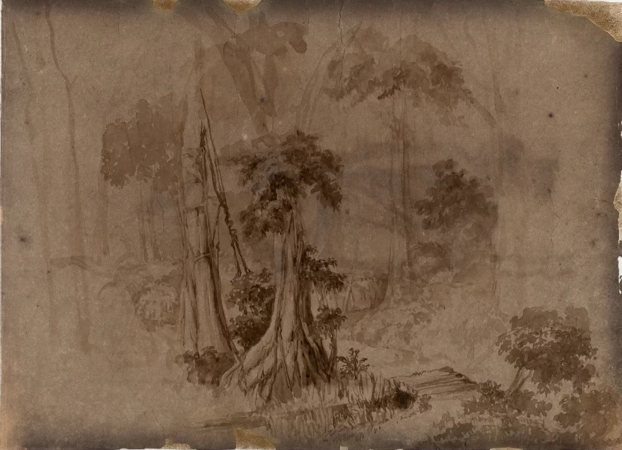 Manuel de Araújo Porto - Alegre, Studio di foresta brasiliana